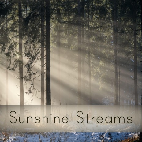 Sunshine Streams | Boomplay Music