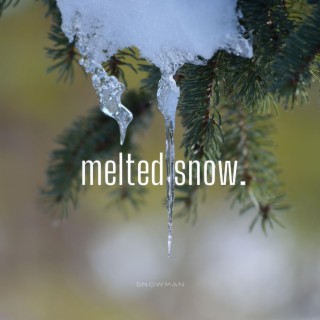 Melted Snow