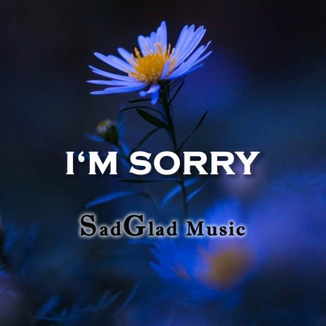 I'm Sorry | Boomplay Music