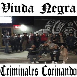 Viuda Negra