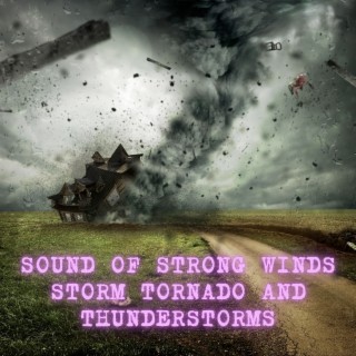 Sounds of Strong Winds Storm Tornado and Thunderstorms