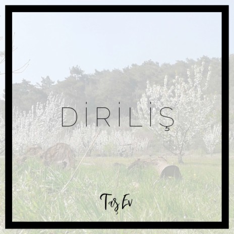 Diriliş | Boomplay Music