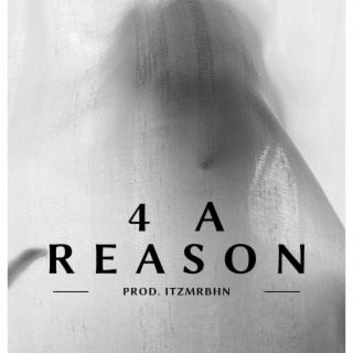 4 A Reason Instrumental