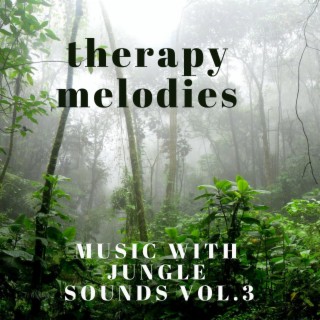 MUSIC WITH JUNGLE SOUNDS, Vol. 3