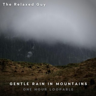 Gentle Rain in Mountains