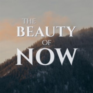 The Beauty Of Now