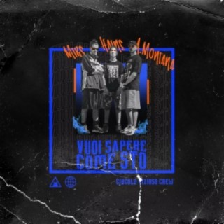 Vuoi Sapere Come Sto (feat. Haine & Ado Montana)