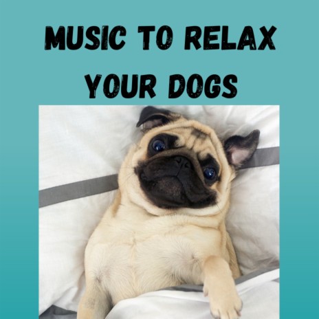 Soft Dog Music ft. Music For Dogs, Calm Pets Music Academy & Relaxing Puppy Music | Boomplay Music