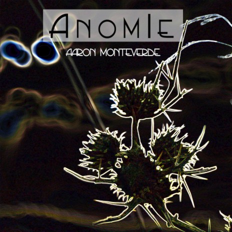 Anomie 2013 | Boomplay Music