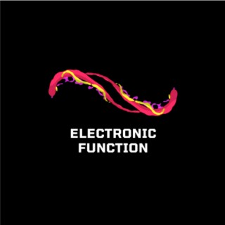 Electronic Function