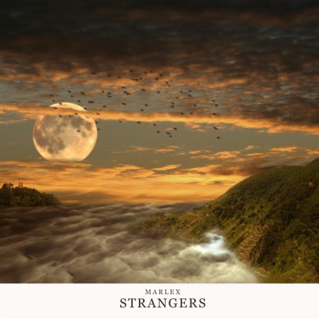 Strangers | Boomplay Music