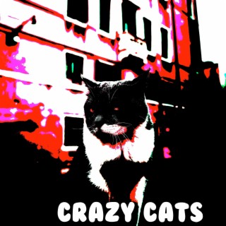 Crazy Cats