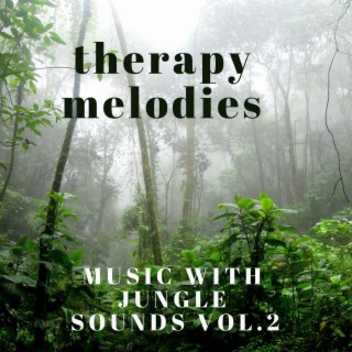 MUSIC WITH JUNGLE SOUNDS, Vol. 2