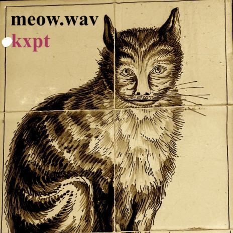 meow.wav | Boomplay Music