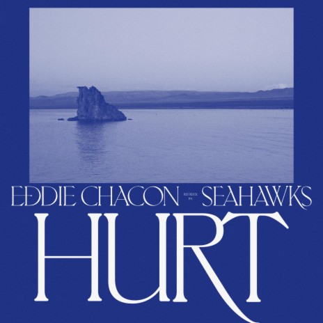 Hurt (Seahawks Remix) | Boomplay Music