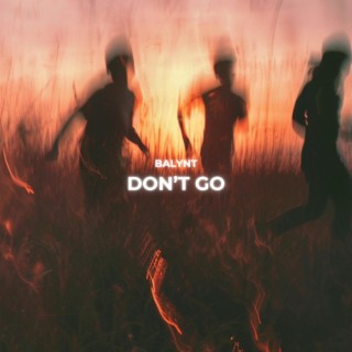 Don't Go