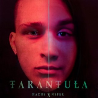 Tarántula (feat. Nefer)