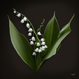 Lily of the Valley