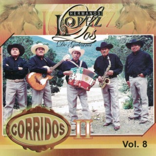 Corridos II Vol.8