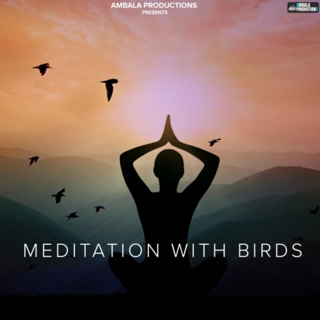 Meditation With Birds | Boomplay Music