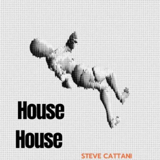 Steve Cattani