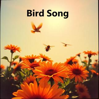 Bird Song