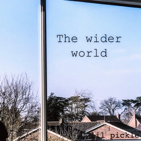 The wider world | Boomplay Music