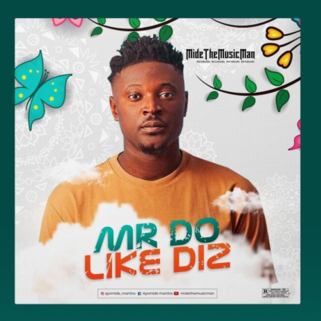 Mr Do Like Diz | Boomplay Music