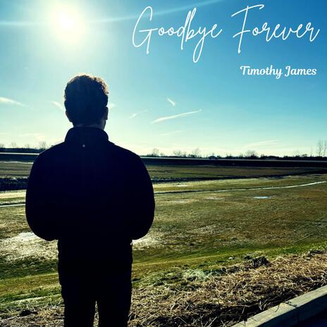 Goodbye Forever | Boomplay Music