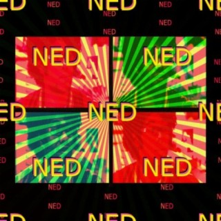 NED