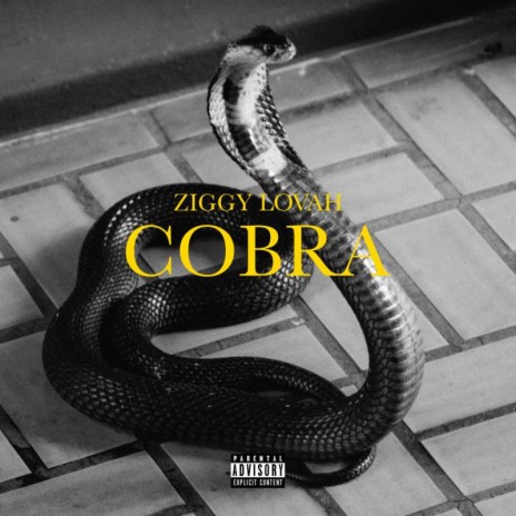 Cobra | Boomplay Music