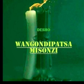 Wangondipatsa Misonzi