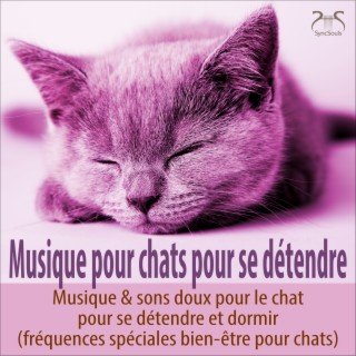 Musique pour chats TA