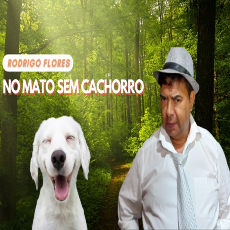 No Mato Sem Cachorro | Boomplay Music