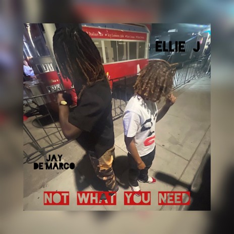 Not What You Need ft. Ellie J | Boomplay Music