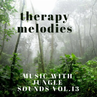 MUSIC WITH JUNGLE SOUNDS, Vol. 13