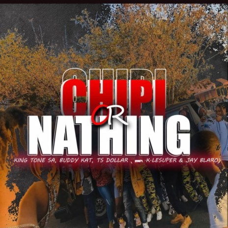 Chipi or Nathing ft. King Tone SA, Buddy Kat & TS Dollar | Boomplay Music