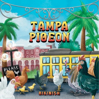 Tampa Pigeon