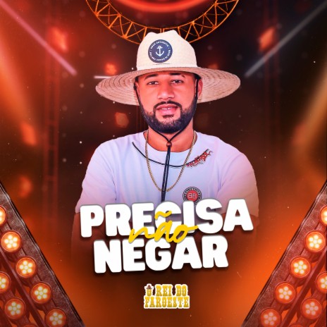 Não Precisa Negar | Boomplay Music