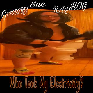 Who Took My Electricity?