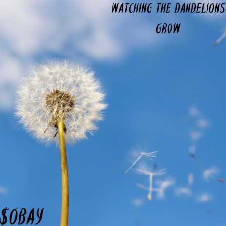 Watching The Dandelions Grow | Boomplay Music