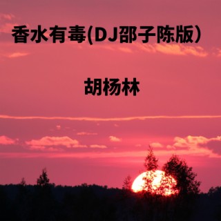 香水有毒 (DJ邵子陈版)