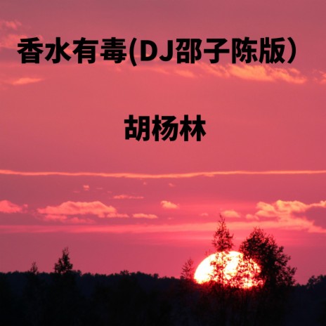 香水有毒 (DJ邵子陈版) | Boomplay Music