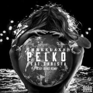 Pelko (Ready or not remix)