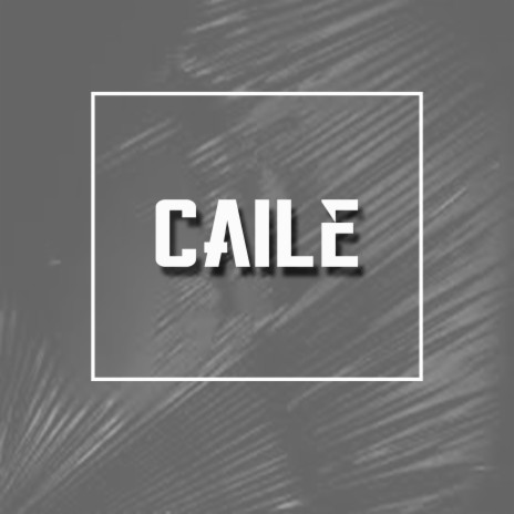 Caile