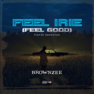 Feel Irie lyrics | Boomplay Music