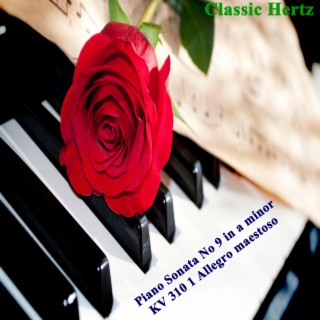 Piano Sonata No 9 in a minor KV 310 1 Allegro maestoso