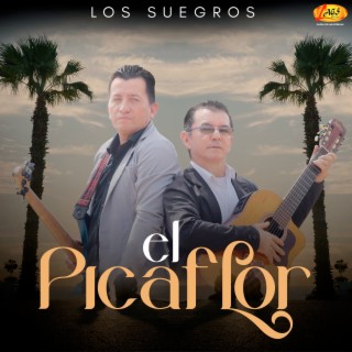 El Picaflor