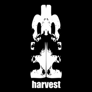 Harvest