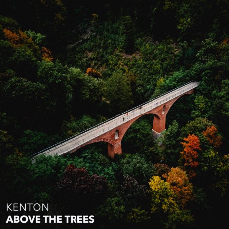 Above the Trees | Boomplay Music